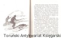 sciezka RÓJ3.jpg