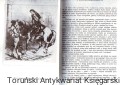 kaw1.jpg