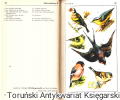 bild2.png