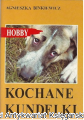 koch.png