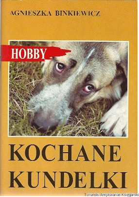 koch.png