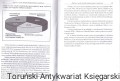 raport o ksiazce BIB ANALIZ2.jpg