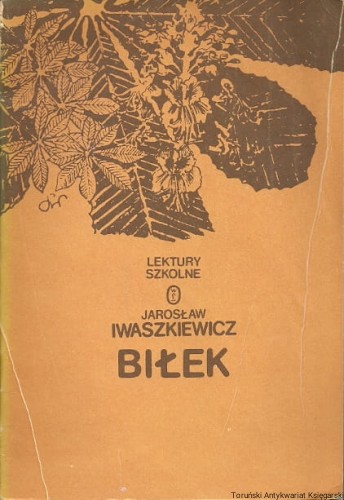 bilek WYD LIT.jpg