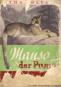 Manso der Puma / Ditha Holesch