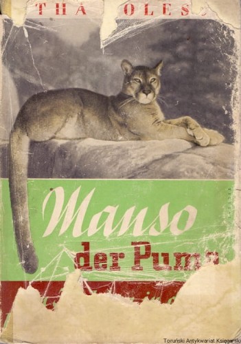 manso der puma ZAGR.jpg