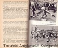 krolik i oceany ISKR1.jpg