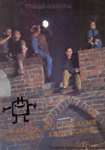 Pejzaże kulturalne / Praca zbiorowa 