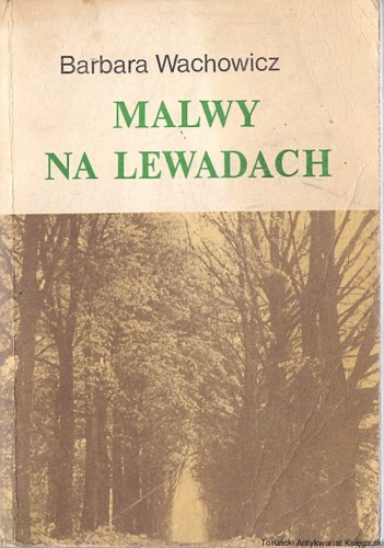 malwy na lewadach WYD RADIA I TELEWIZJI.jpg