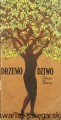 drzewo.jpg
