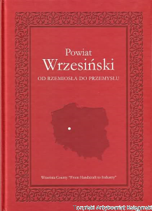 Powiat Wrzesiński : Od rzemiosła do przemysłu / Jolanta Tubielewicz