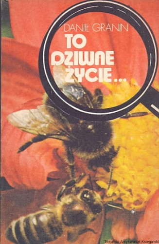 to dziwne KiW.jpg