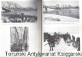 torunok_0006.jpg