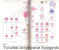 hemaologia praktyczna PZWL6.jpg