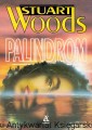 palindrom AMBER.jpg
