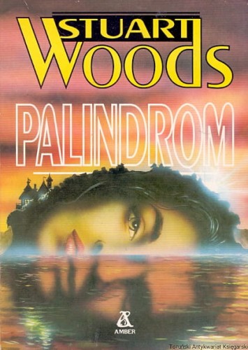 palindrom AMBER.jpg