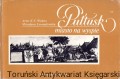 pultusk WYD POLONIA.jpg