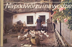 Na podwórzu i na wodzie / Brak autora 