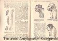 czlowiek z neandertalu CZYTEL2.jpg