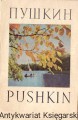 puszkin BRAK.jpg