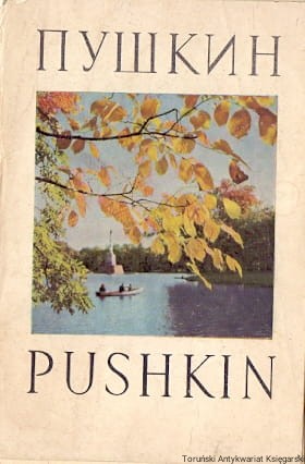 puszkin BRAK.jpg