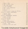 fenomenologia WYD LIT4.jpg