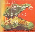 kamienie ozdobne WYD GEOLOGICZNE.jpg