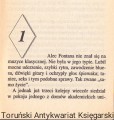 nieznajoma ARLEKIN2.jpg