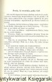 wybuch REBIS2.jpg
