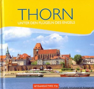 Thorn  / Anna Ziemlewska  