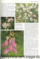 the high kingdom READER'S DIGEST2.jpg