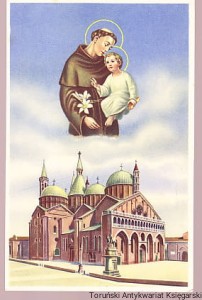 Pocztówka Padwa Padova Św. Antoni