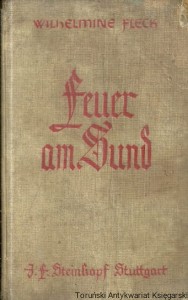 Feuer am Sund / Wilhelmine Fleck