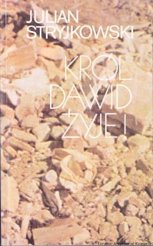 krol dawid W DRODZE.jpg
