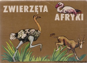 Zwierzęta Afryki / Marta i Ksawery Piwoccy