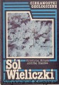 sol wieliczki WYD GEOLOG.jpg