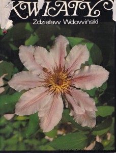 Kwiaty / Zdzisław Wdowiński