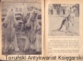 od pletwy rekina WP2.jpg
