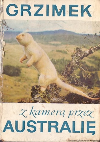 z kamera przez WP.jpg