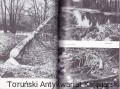 nad rzeką bobrów 05.jpg