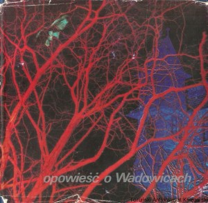 Opowieść o Wadowicach / Adam Grodnicki, Jerzy Roman Jaglarz, Jan Fidziński