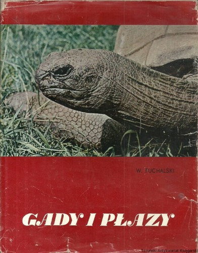 gady i plazy SPORT i TURYSTYKA.jpg