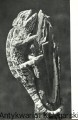 gady i plazy SPORT i TURYSTYKA2.jpg