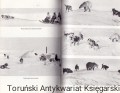 sniegi i wody ISKR3.jpg