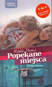 Popękane miejsca / Michele Phoenix
