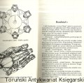 poza galaktyka AMBER2.jpg
