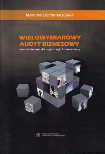 wielowymiarowy audyt biznesowy (1).jpg