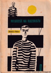 Młodość na rozdrożu / Miklos Vidor