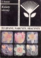 tulipany PWRiL.jpg