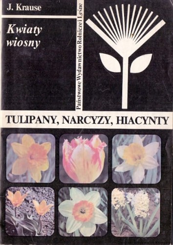 tulipany PWRiL.jpg