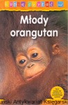Młody orangutan : Lubię czytać / Monica Hughes 